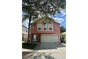 11721 Ivy Flower Loop, RIVERVIEW