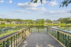 12512 Sugar Pine Way, TAMPA