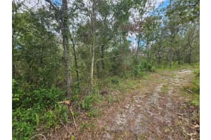 Alford Ln, SPRING HILL