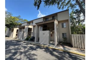 7505 Pitch Pine Cir #123, TAMPA