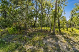 00 Maybird Ave, WEEKI WACHEE