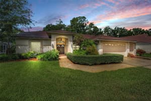 1120 Hunters Pl, OLDSMAR