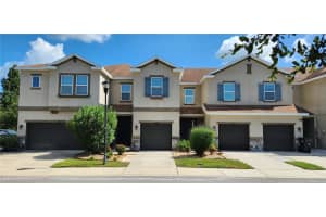 12355 Bayou Flats Ln, TAMPA