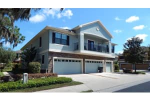 16618 Kingletside Ct, LITHIA