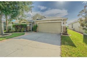6843 Runner Oak Dr, WESLEY CHAPEL