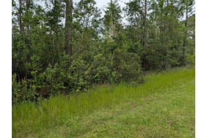 302 Pandora Dr, INDIAN LAKE ESTATES