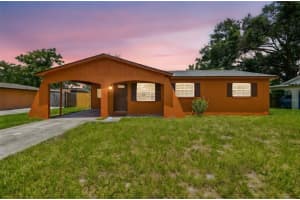 2067 Balfour Cir, TAMPA