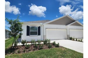 2365 Bending Bonsai Dr, WESLEY CHAPEL