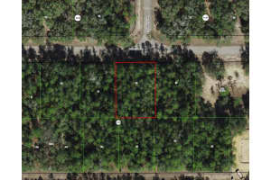 346 E Falcon St, DUNNELLON