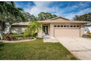 2342 Hazelwood Ln, CLEARWATER