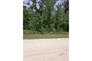 16026 Sheldrake Loop, WEEKI WACHEE