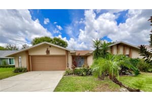 2991 Valencia Ln E, PALM HARBOR