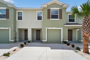 257 Royal Spoonbill Dr, RUSKIN 257 Royal Spoonbill Dr, RUSKIN
