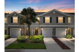 10425 Red Carpet Ct, RIVERVIEW