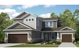 12528 Wharf Ter, PALMETTO