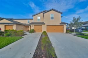 5311 New Friendship Pl, TAMPA