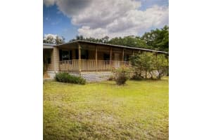 5510 Gator Country, PLANT CITY