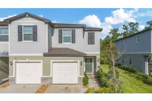 6033 Acara Ln, LAND O LAKES