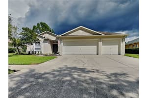 19126 Wind Dancer St, LUTZ