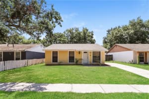 16017 Splitlog Dr, TAMPA