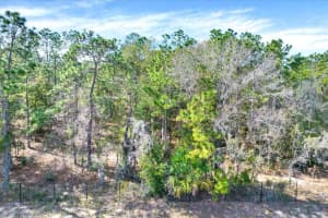Honeycreeper Rd, BROOKSVILLE