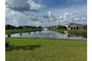 31869 Blue Passing Loop, WESLEY CHAPEL