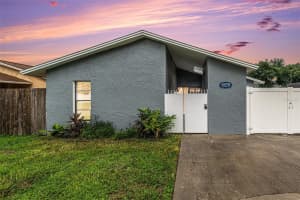 10701 Crowngate Ln, TAMPA