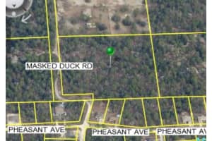 Masked Duck Rd, BROOKSVILLE
