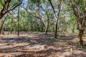 14004 Peace Blvd, SPRING HILL