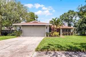8208 La Serena Dr, TAMPA