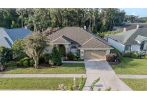 9623 Fox Hearst Rd, TAMPA