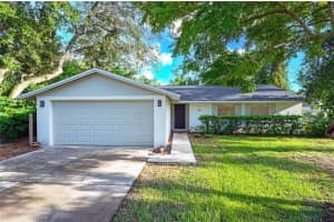1513 Bonniebrook Dr, LUTZ