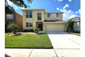 20262 Merry Oak Ave, TAMPA