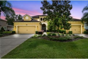 27734 Indigo Pond Ct, WESLEY CHAPEL