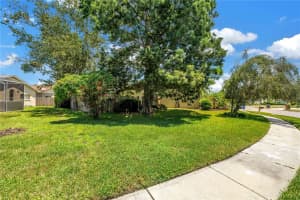 11209 Bloomington Dr, TAMPA