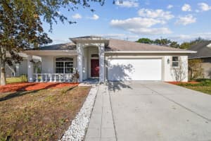 15807 Leatherleaf Ln, LAND O LAKES