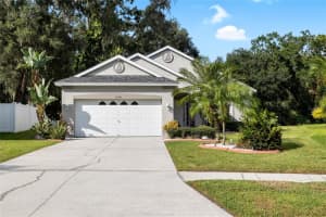 15934 Stags Leap Dr, LUTZ