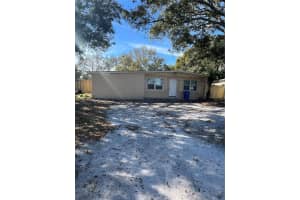 8507 Grapefruit Ave, TAMPA