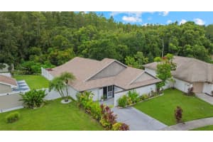 11815 Hickorynut Dr, TAMPA