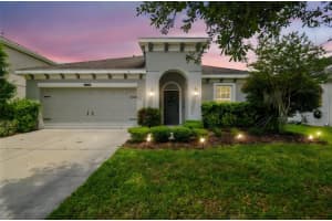 8228 Sunlit Horizon Ln, LAND O LAKES