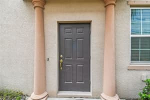 4925 White Sanderling Ct, TAMPA