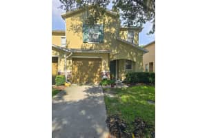 4615 Limerick Dr, TAMPA