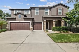 1521 Banner Elk St, VALRICO