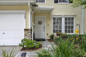3008 Amber Oak Dr, VALRICO