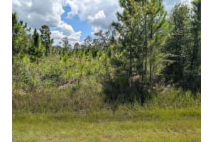 311 Hibiscus Dr, INDIAN LAKE ESTATES