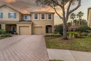 17533 Stinchar Dr, LAND O LAKES