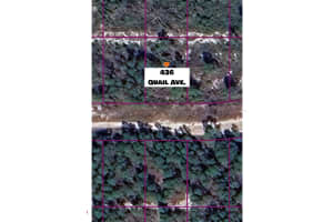 436 Quail Ave, SEBRING