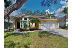 4004 Moreland Dr, VALRICO