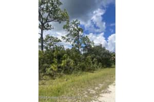 0 0 Yellow Frog Ave, WEEKI WACHEE