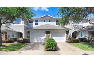 19281 Stone Hedge Dr, TAMPA 19281 Stone Hedge Dr, TAMPA